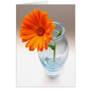 Bloem en Vaas
