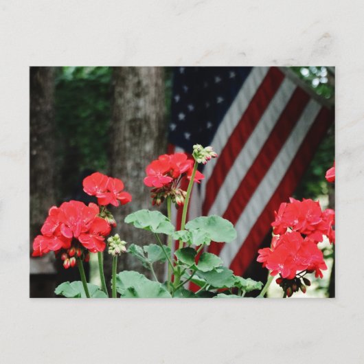 Bloem en vlag Rood wit en blauw Briefkaart (Voorkant)