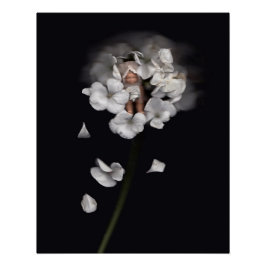 Bloem feeën 1 perfect poster