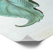  bloem (Flos Solis Maior) Poster (Hoek)