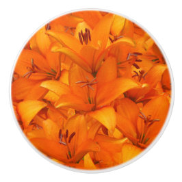 Bloem Foto Oranje tuinlilies Keramische Knop