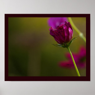Bloem Foto Poster