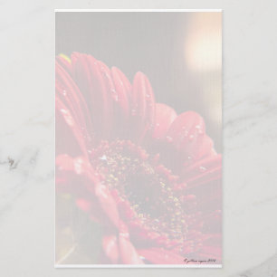 Bloem I Stationery Briefpapier