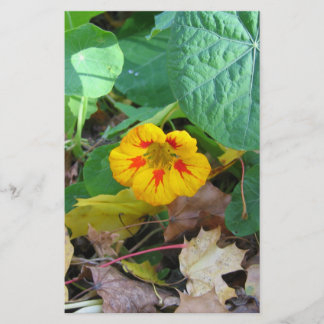 Bloem in Bladeren Briefpapier