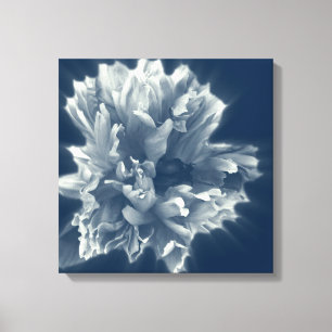 bloem in de nacht canvas afdruk