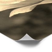 Bloem in het Roos van sepia Tint Poster (Hoek)