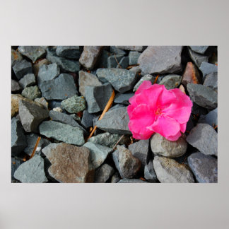 "Bloem in het ruwe poster" Poster