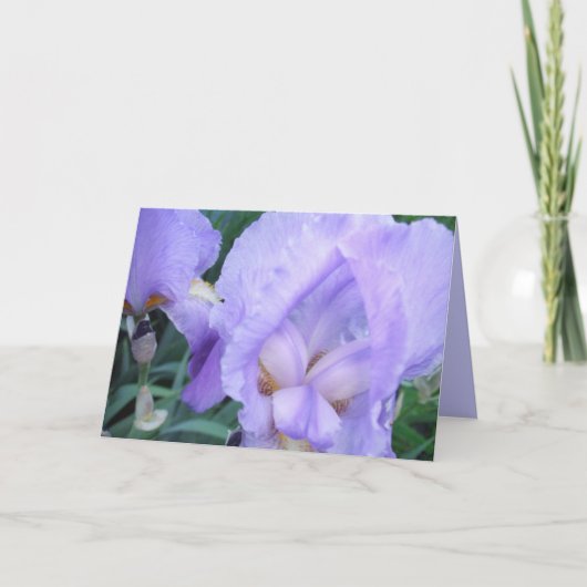 Bloem - Iris Kaart (Voorkant)