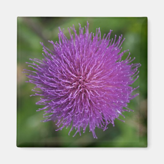 Bloem Magneet (Voorkant)