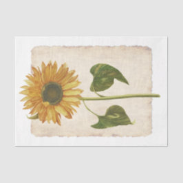 Bloem met 34 gele zonnebloempitten, papier voor he