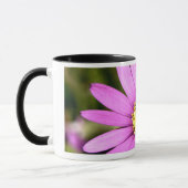 Bloem Mok II (Links)
