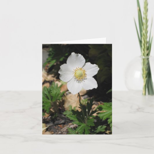 Bloem Notecards Kaart (Voorkant)