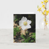 Bloem Notecards Kaart (Gele Bloem)