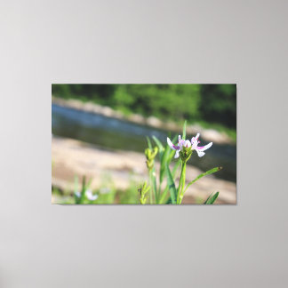 Bloem ondersteund door River Canvas Print