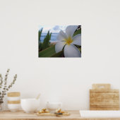 Bloem op de strand poster (Keuken)