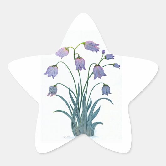  BLOEM OP STAR STICKER (Voorkant)
