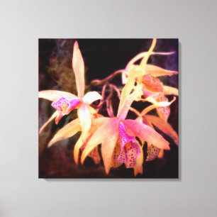 Bloem - Orchid - Laelia - Midnight Passion Canvas Afdruk