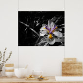 Bloem - Paars geel wit Poster (Keuken)