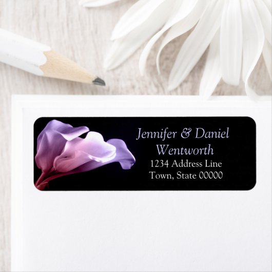 Bloem Paarse Calla Lilies Klassiek Stijlvol Etiket (Insitu)