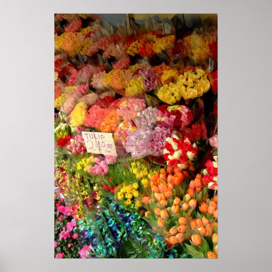 Bloem Poster (Voorkant)