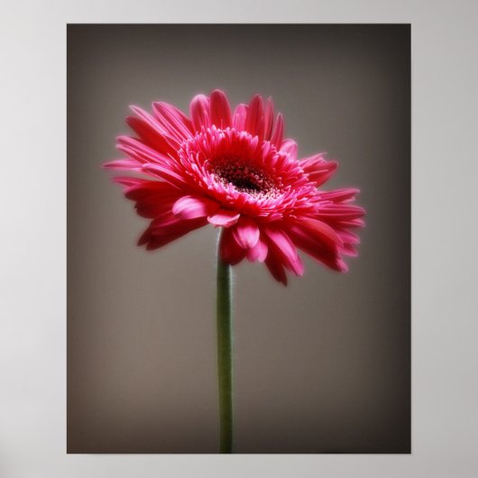 Bloem Poster (Voorkant)