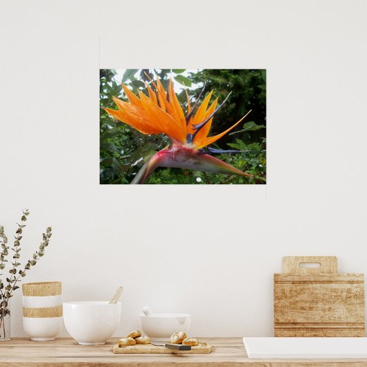 Bloem poster (Keuken)