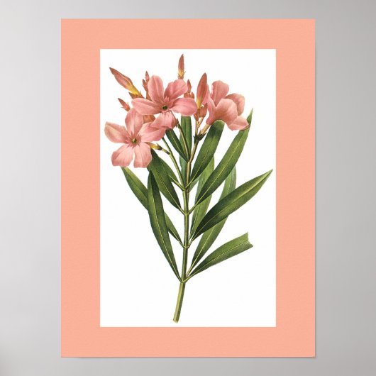 Bloem poster 3 (Voorkant)