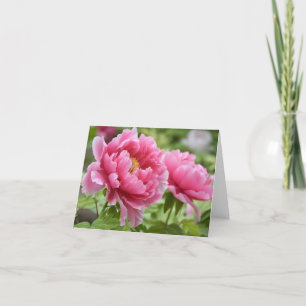 Bloem Roze Pioen Bloem Blank Bedankkaart