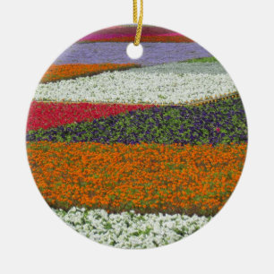 Bloem Tapijt Ornament