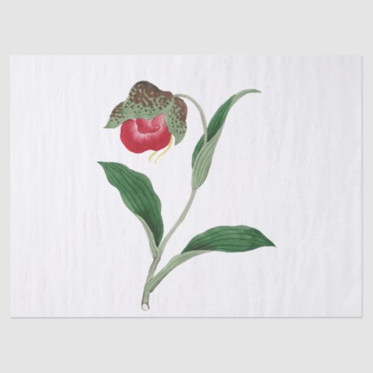 Bloem Tissuepapier (Voorkant)