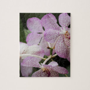 Bloem Tuin Puzzel