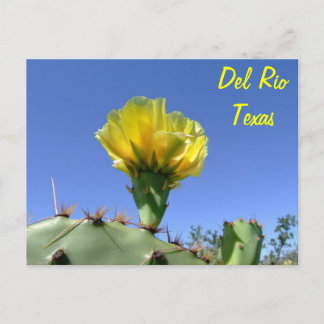 Bloem van de de herinneringen de gele cactus van briefkaart