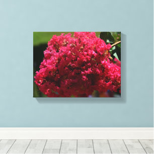 Bloem van de Japanse kersenbloesem Canvas Afdruk