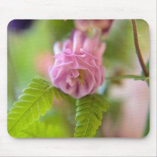 Bloem van een Aquilegia Muismat