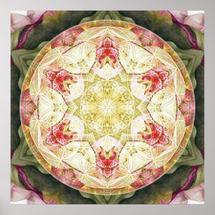 Bloem van Life Mandala 6 Poster