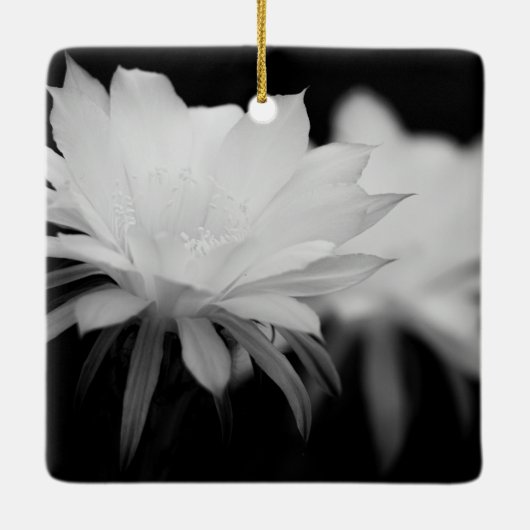 Bloem van zwarte en witte cactus keramisch ornament (Achterkant)