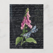 Bloem & Vlinder Botanisch Briefkaart (Voorkant)