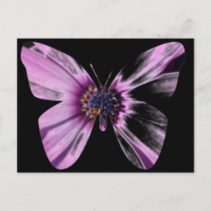 Bloem Vlinder Briefkaart