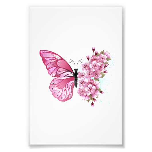 Bloem Vlinder met Roze Sakura Foto Afdruk (Voorkant)