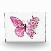 Bloem Vlinder met Roze Sakura Fotoblokken (Voorkant)
