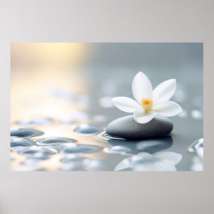 Bloem Water Drop Natuur Serene Tranquil Poster