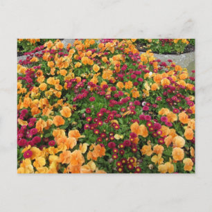 Bloembed met oranje en rode bloemen briefkaart