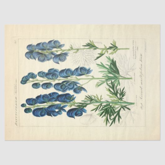 Bloemblauw Bloemen Ephemera Decoupage Tis Tissuepapier (Voorkant)