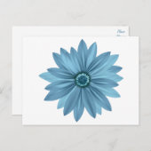Bloemblauwe Daisy Flower Daisies Briefkaart (Voorkant / Achterkant)