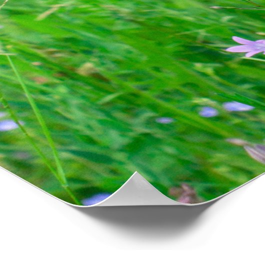 Bloembloem op een groen poster (Hoek)