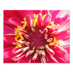 Bloemcentrifugeservice Foto Afdruk