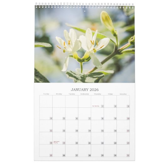 BLOEMEN 12 maanden mooie bloemen Kalender (Jan 2026)