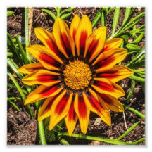 Bloemen 1 foto afdrukken