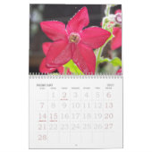 bloemen 2010 kalender (Feb 2027)
