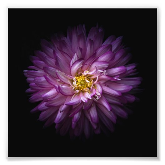 Bloemen 20 foto afdruk (Voorkant)